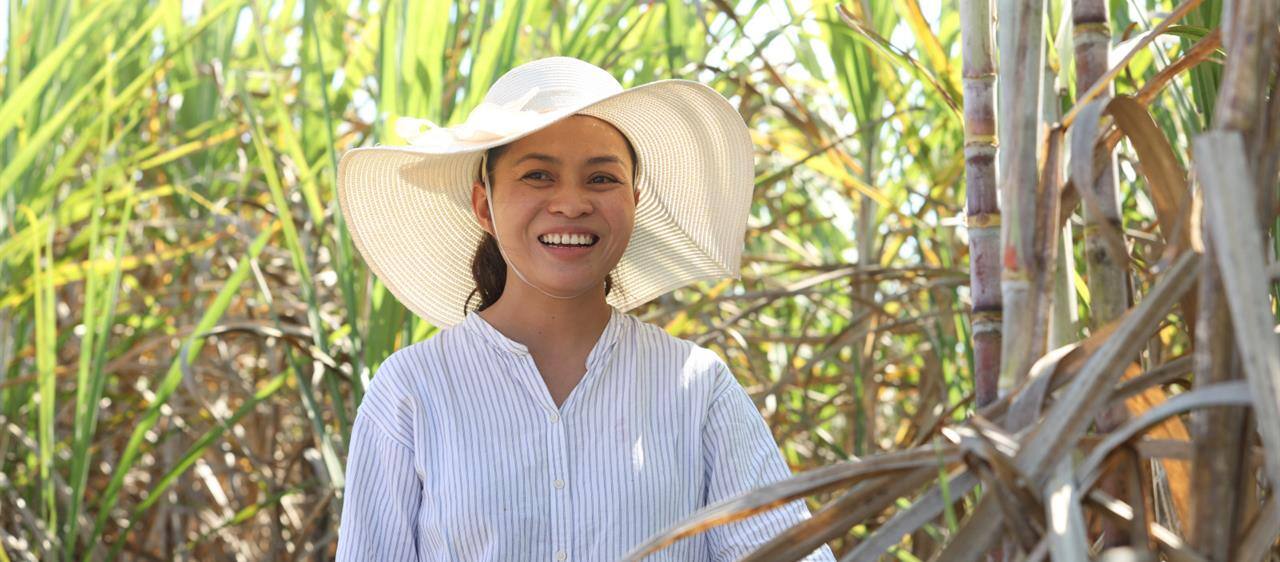 Better production year: Case IH's Austoft 9000 elevates sugarcane harvesting in Thailand